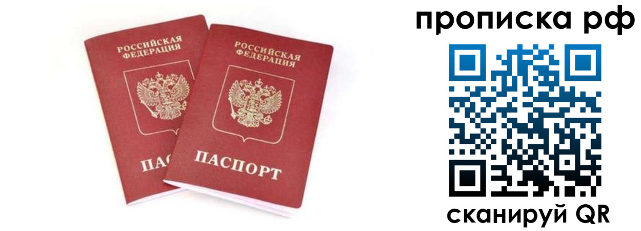прописка поиск в Фрязино